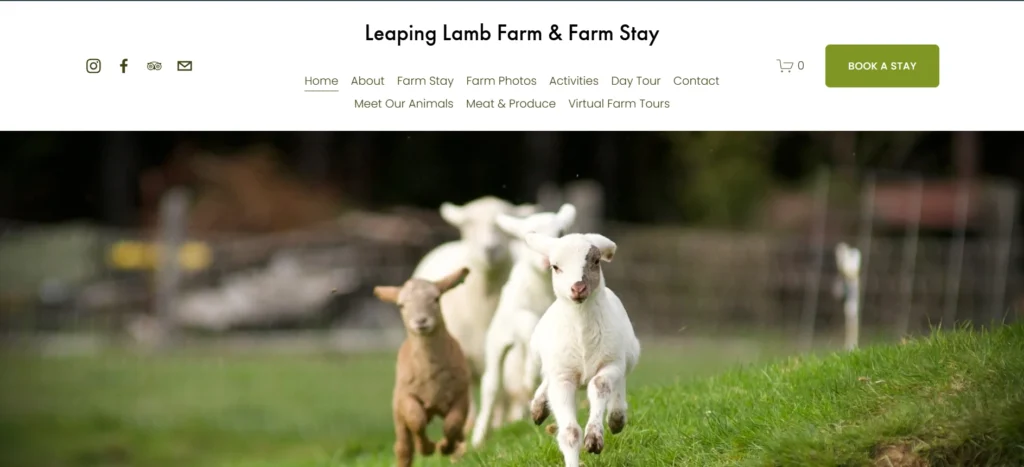 Leaping Lamb Farm